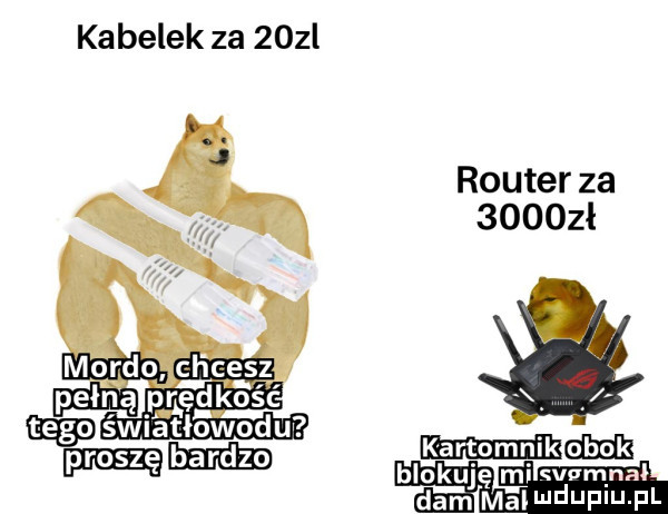 kabelek za   zl router za      ł pech ą ęrśśk ó ść tego śni atłowodu blokuję mi wurqnał dam mainduf u fl