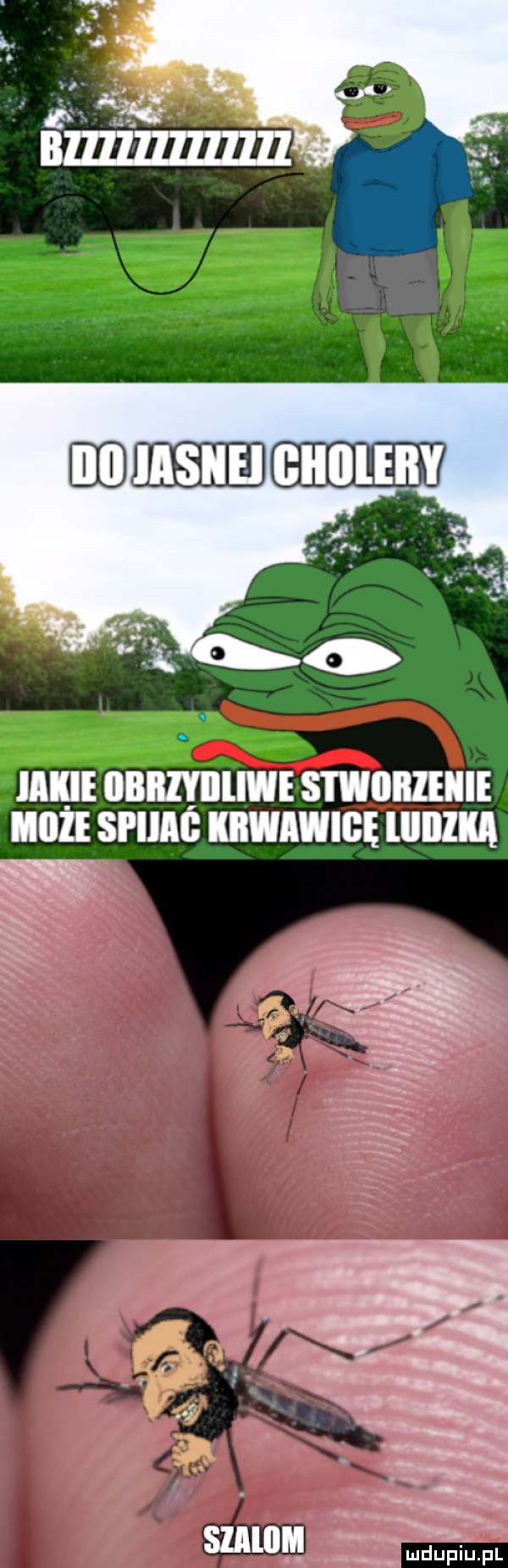 lal iibrzyiiliwe stwiiiiieiie iiiiie spimb kbwawigę lllllllą mdupitjpl