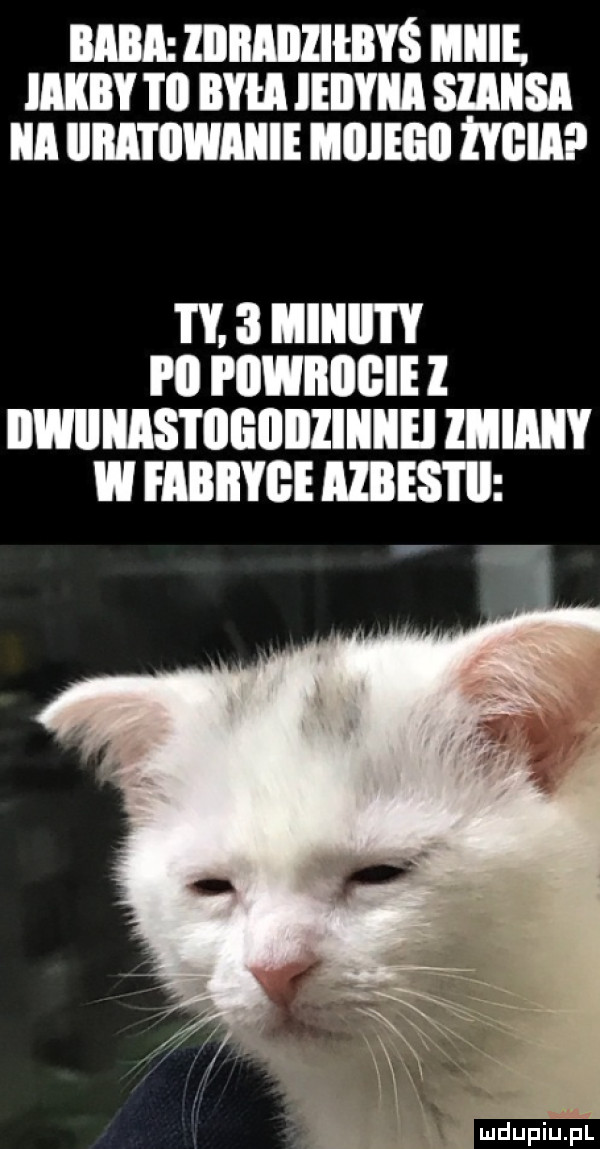 baba liliiaiiliłiiyś aiiiie. iaiiby ibl iiyia ieiiyiia siaiisa ica iiiiai iiwaiiie hiiieiiii ilia.   llllll l y i ll i iiwiiiiiiie l iiwiiiiastiiiiiiiiziiiiiei zmiaiiy w iabiiyge azbest