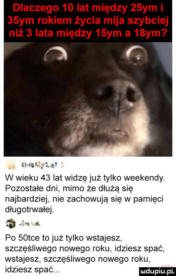 wolf w wieku    lat widzę już tylko weekendy. pozostałe dni mimo że dłużą się najbardziej nie zachowują się w pamięci długotnnałej. a q a. p    tee to już tylko wstajesz szczęśliwego nowego roku idziesz spać wstajesz szczesliwego nowego roku idziesz spać