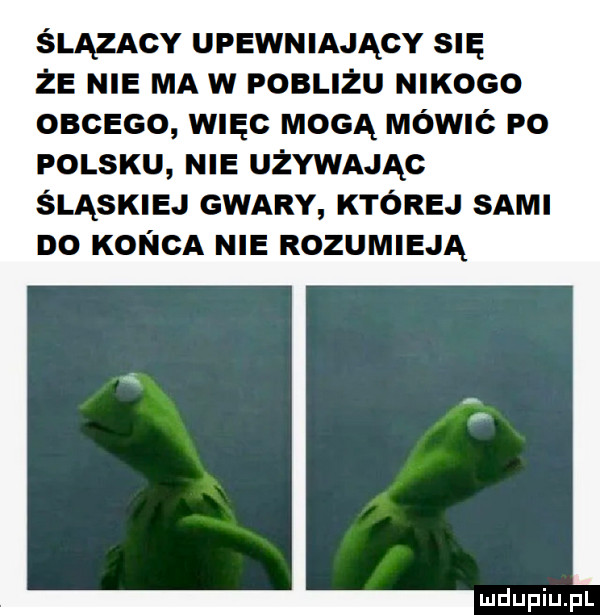 ślązacy upewniający się że nie ma w poblizu nikogo obcego więc mogą mówić po polsku nie używając śląskiej gwary której sami do kał łba nie rozumieją