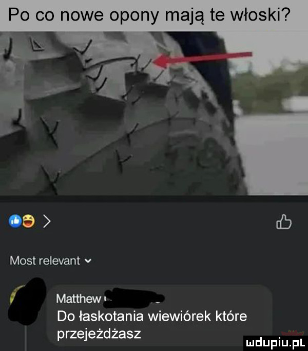 po co nowe opony mają te włoski    cb most relevant v i i maﬁhew do łaskotania wiewiórek które przejezdzasz