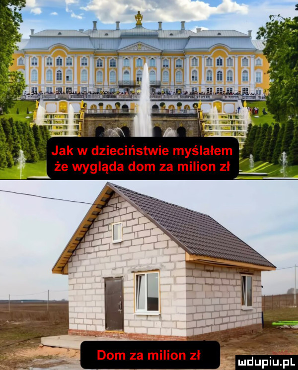 jak w dzieciństwie myślałem. że wygląda dom za milion zi