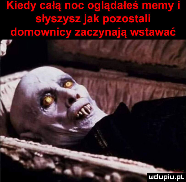 kiedy całą noc oglądałeś memy i słyszysz jak pozostali domownicy zaczynają wstawać l a e k q