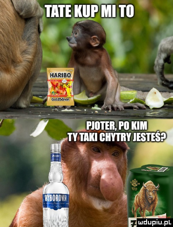 mi i a i e klip ml i il t. ś ﬂ x l wow gt j mm p  kim a tytakigiiytbyiesteś