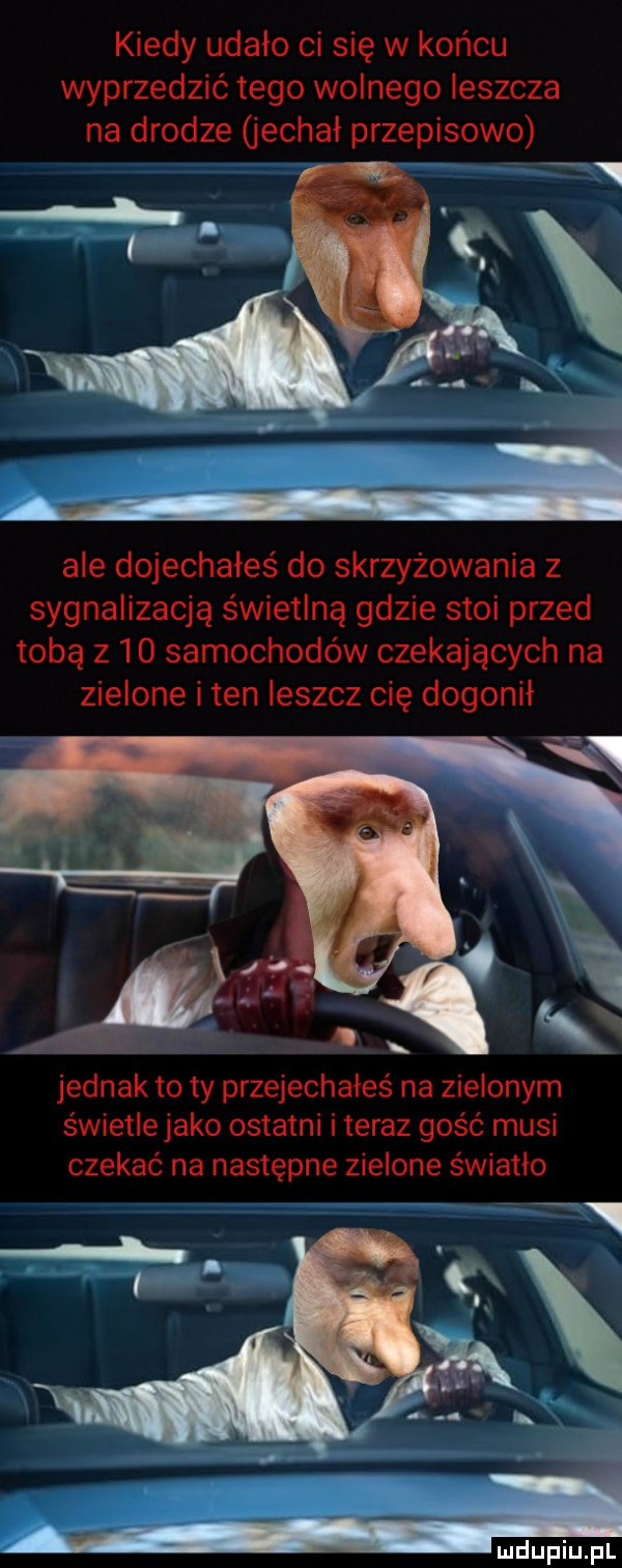 kiedy udało ci się w końcu wyprzedzić tego wolnego leszcza na drodze jechał przepisowo ale dojechałeś do skrzyżowania z sygnalizacją świetlną gdzie stoi przed tobą z    samochodów czekających na zielone i ten leszcz cię dogonił jednak to ty przejechałes na zielonym s wietlejako ostatni i teraz gość musi czekać na następne zielone światło