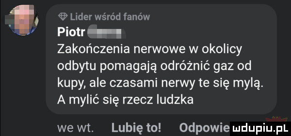 lider wśród fanow piotr zakończenia nerwowe w okolicy odmy u pomagają odróżnić gaz od kupy ale czasami nerwy te się mylę. a mylić się rzecz ludzka we wt. lubię to odpowie