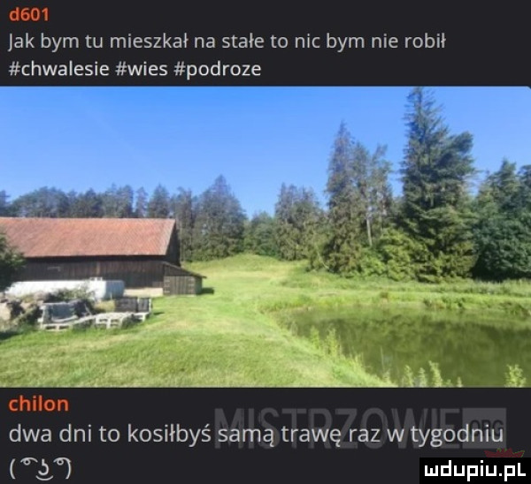 jak bym u mxeszkm na stałe   mc bym me roba chwalenie wies podroze dwa dm to kosiłbys samą trawę raz w tygodniu