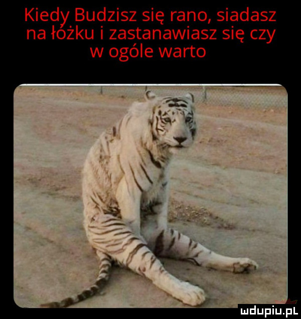 kiedy budzisz się rano siadasz na łóżku i zastanawiasz się czy w ogóle warto