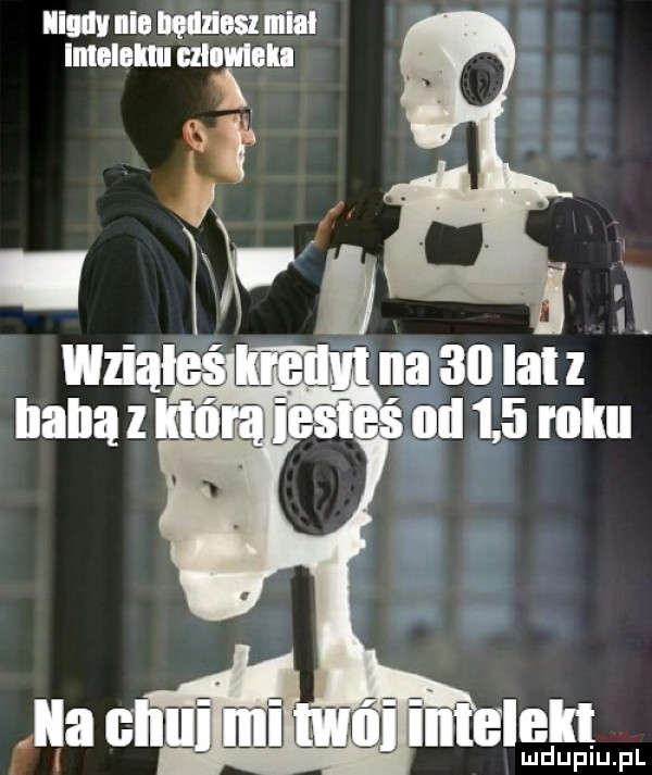 ham iiib milosz lllllł intelem tllllllell ludupiu. pl