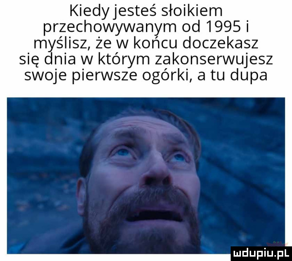 kiedyjesteś słoikiem przechowywanym od      myślisz że w końcu doczekasz się dnia w którym zakonserwujesz swoje pierwsze ogórki a tu dupa