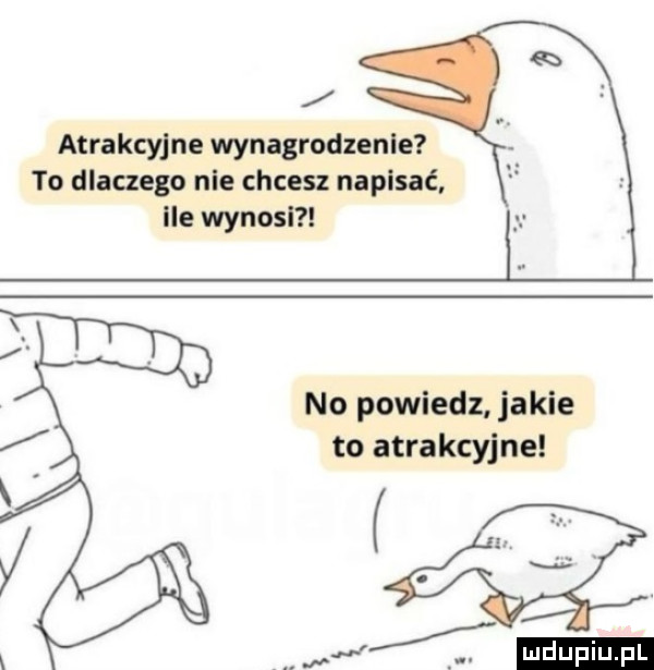 atrakcyjne wynagrodzenie to dlaczego nie chcesz napasać ile wynosi no powiedz jakie to atrakcyjne