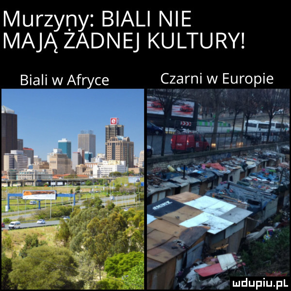 murzyny biali nie mają zadnej ku leu ry biali watr ce czarni w europie e ii jak      fis a v ij. abakankami