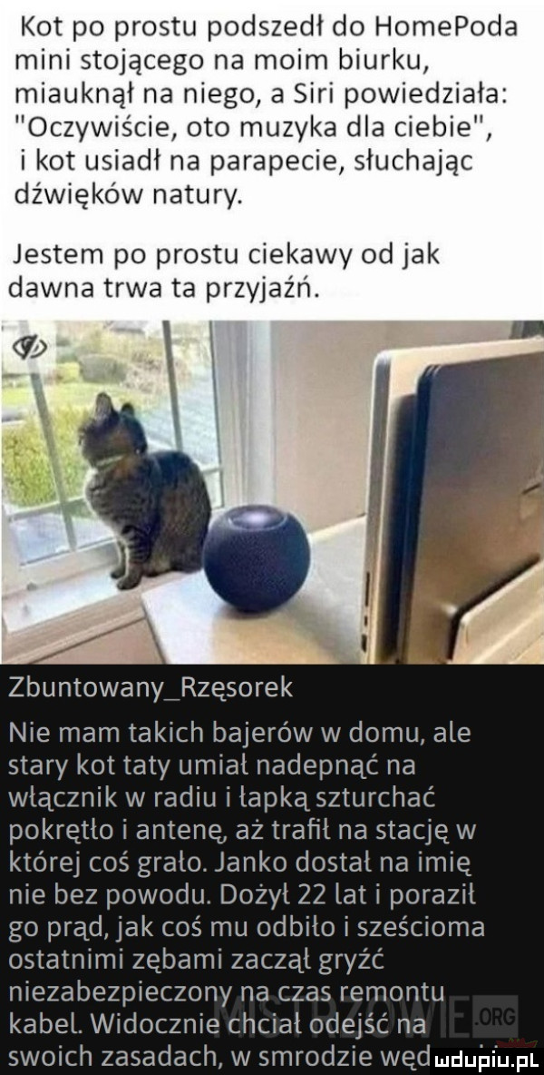 kot po prestu podszedł do homepoda mini stojącego na moim biurku miauknął na niego a sari powiedziała oczywiście oto muzyka dla ciebie i kot usiadł na parapecie słuchając dźwięków natury. jestem po prestu ciekawy od jak dawna trwa ta przyjaźń. zbuntowany rzęsorek nie mam takich bajerów w domu ale stary kot taty umiał nadepnąć na włącznik w radiu i iapką szturchac pokrętło i antene aż traf ii na stację w ktorej coś gralo. janko dostał na imię nie bez powodu dożył    lat i poraził go prąd jak coś mu odbiło i sześcioma ostatnimi zębami zaczął gryźć niezabezpieczony na czas remontu kabel widocznie chciał odejść na swoich zasadach w smrodzie wędmdujui u p