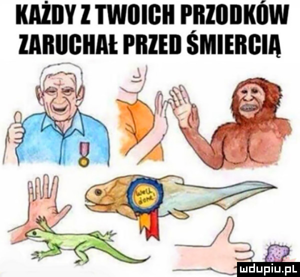 każiiy l twiiigii pnzonxow lailllgiiał mm śmiengia   gr