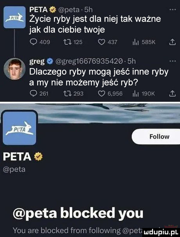 petaq peta  h. zycie ryby jest dla niej tak ważne jak dla ciebie twoje o     u     o     l    k   greg o greg             h dlaczego ryby mogąjeść inne ryby a my nie możemy jeść ryb o     t              ll.    k i peta o peta peta blocked y-u y-u are blocked from following penmﬂul giupl