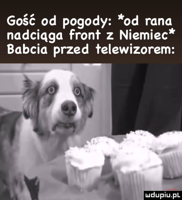 gość od pogody od rana nadciąga front   niemiec babcia przed łelewizorem