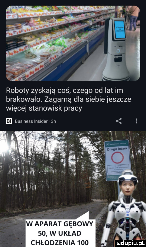 roboty zyskają coś czego od lat im brakowało. zagarną dla siebie jeszcze więcej stanowisk pracy en business insider  h w aparat gębowy so w układ n chłodzenia  oo i piużpl