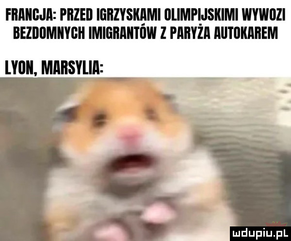 femis jl i ﬂzeil iﬂﬂzysiu ici  lampi jakimi wywozi bezbdmiygh imieiiaiitow z piﬂyzﬂ iiitoiuibem lyilii mlliiserlll
