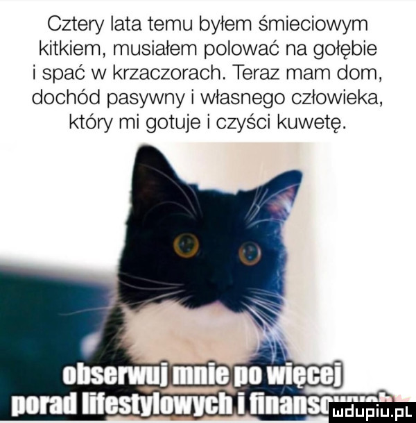 cztery lata temu byłem śmieciowym kątkiem musiałem polować na gołębie i spać w krzaczorach teraz mam dom dochód pasywny i własnego człowieka który mi gotuje i czyści kuwetę