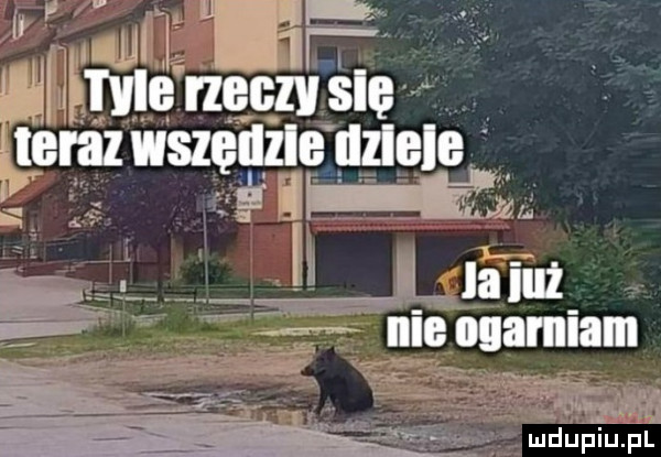 w   mu mange a m z wszęgzśqqzlele s i a i i ialallurlznam