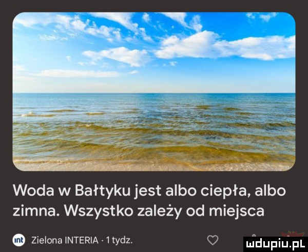 woda w bałtyku jest albo ciepła albo zimna. wszystko zależy od miejsca zielona interia   tycz. jdupiuzpl