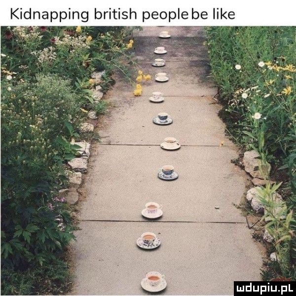 eee kidnapping british peopl like