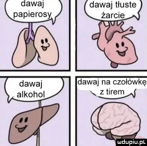 dawaj papierosy dawaj tłuste żarcie dawaj na czołówkę zairem