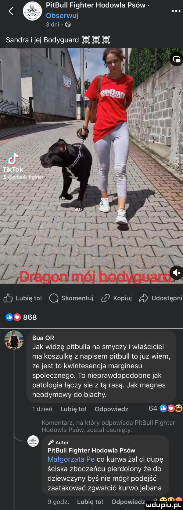 pitbull fighter hodowla psów obserwuj   dni o sandra i jej bodyguard h h ul ﬁ lunięto o skomentuj kopiuj udostępnij.     bla qr jak widzę pitbuiia na smyczy i właściciel ma koszulkę z napisem pitbull tojuz wiem ze jest to kwintesencja marginesu spolecznego. to nieprawdopodobne jak patologia łączy sie z tą rasą. jak magnes neodymowy do blachy.   dzień lubię to odpowiedz      a komentarz na który odpowiada pnbull fighter hodowla psów zostal usunięty i amor pitbuli fighter hodowla psów malgorzata pe co kurwa żal ci dupę ściska zboczeńcu pierdolony że do dziewczyny byś nie mógł podejść zaatakować zgwałcić kurwo jebana mm   godz. lubię to odpowiedzmdupiu f