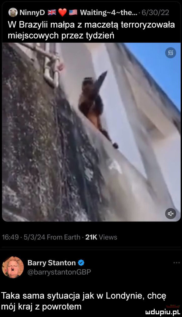 ninnyd ę waiting   tee         w brazylii małpa z maczetą terroryzowała miejscowych przez tydzień              from earth   k views barry stanton   akbar rystantongbp taka sama sytuacja jak w londynie chcę mój kraj z powrotem
