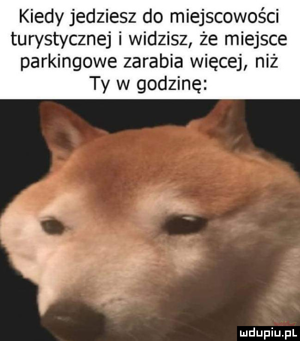 kiedy jedziesz do miejscowości turystycznej i widzisz że miejsce parkingowe zarabia więcej niż ty w godzinę