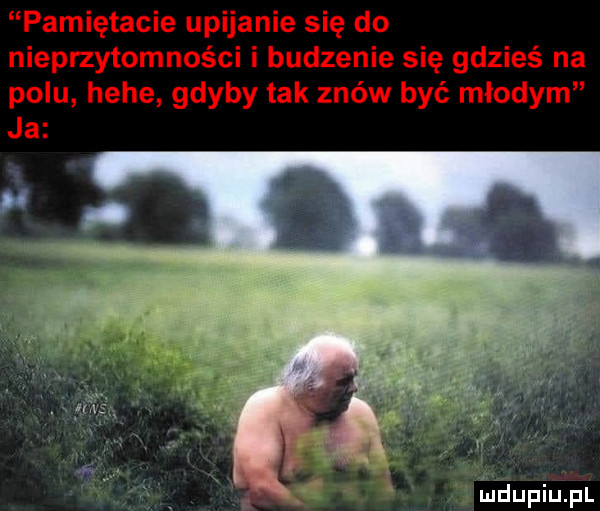 Obrazek