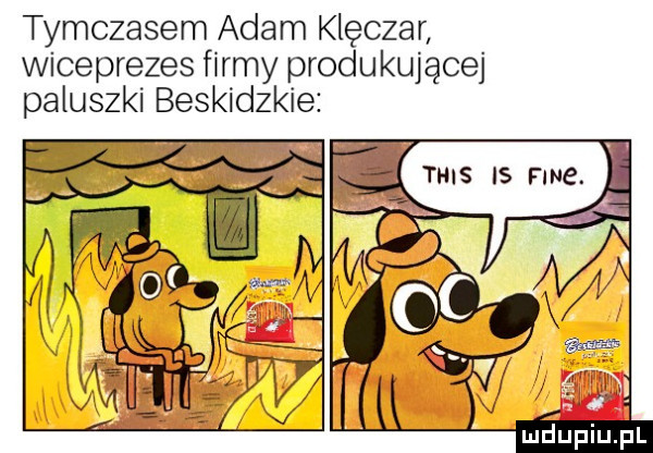 tymczasem adam klęczar wiceprezes firmy produkującej oaluszki beskidzkie