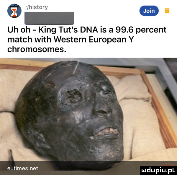 ihistory uh oh king tut s dna is a      percent march with western european y chromosomes. eutimesnex