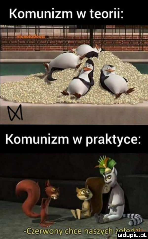 komunizm w troi ii. a i xv i m. fag iii  e ę ła y chcemaszy chgzgdspm pl