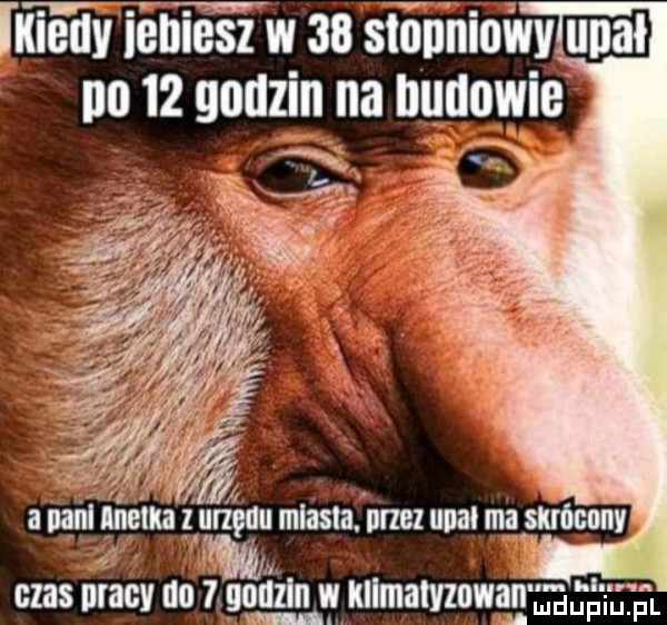 im iehieez w so skin niuiiv udał no    godzin na budowie czas pracy na     an. lulmatvzowan       ng