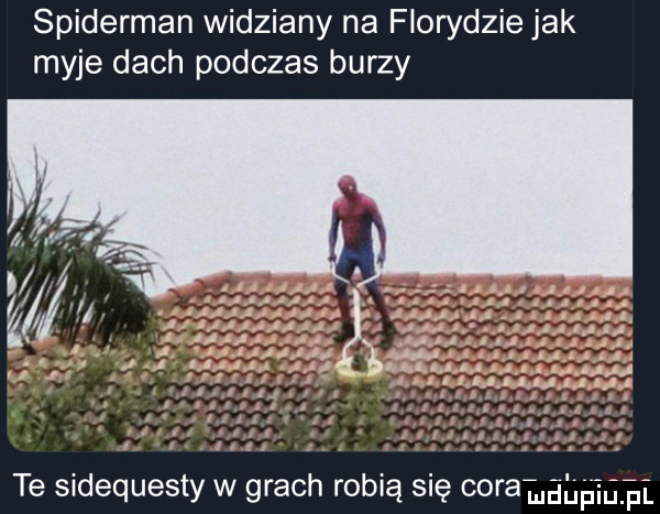 spiderman widziany na florydzie jak myje dach podczas burzy mduﬁiﬁii te sidequesty w grach robią się cora