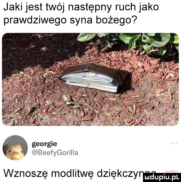 jaki jest twój następny ruch jako prawdziwego syna bożego h georgie beefygorhla wznoszę modlitwę dziękczylmm