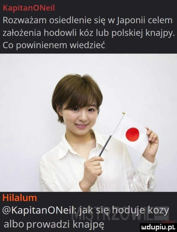 kapitanoneil rozważam osiedlenie się wjaponii celem założenia hodowli kóz lub polskiej knajpy. co powinienem wiedzieć   hilalem kapitanoneil jak się hoduje kozy albo prowadzi knajpę wdaniu pl