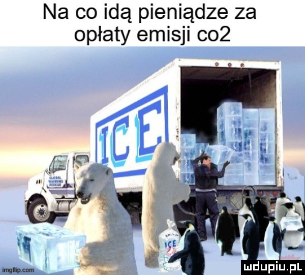 na co idą pieniądze za opłaty emisji