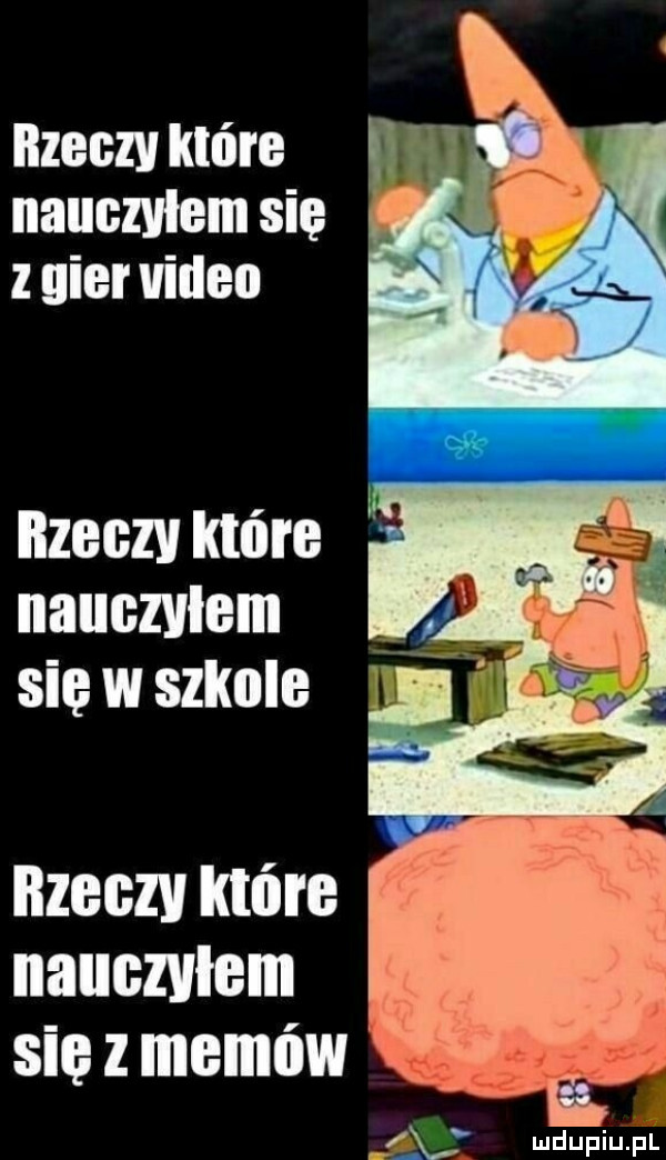 ilzeezv które nauczyłem sie z gier video nzeezv które nauczylem sie w szkole nzeezu które nauczyłem