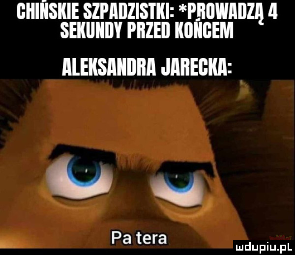 cums szrnnzlsnu pnuwnnzq ll samum piizeii kojcem aleksandra janerka ue pa tera