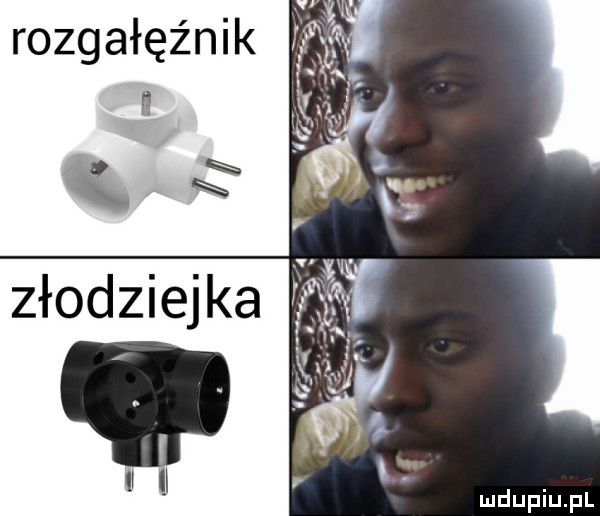 rozgałęźnik
