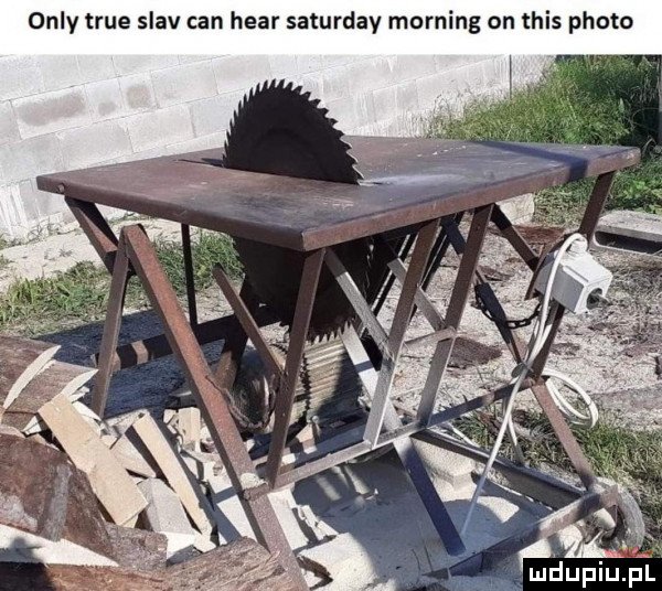 orly tsue slav cen hvar samrdav morfing on his ploto