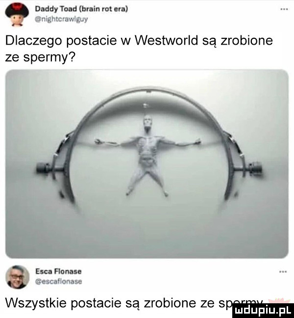 alu d br in m m anishmmwixuy dlaczego postacie w westworld sa zrobione ze spermy ew han u milka n wszystkie postacie są zrobione ze rap o