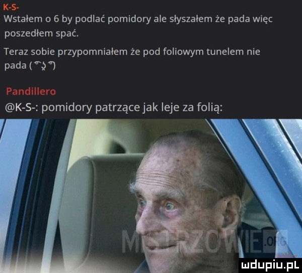 wstałem   by podlać pomidory a e słyszałem że pada więc poszedlem spać. teraz sobie przypomniałem że pod foliowym tunelem me pada vj kasa pomidory patrząca jak leje za folią