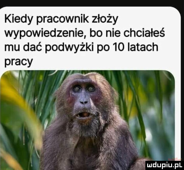 kiedy pracownik złoży wypowiedzenie bo nie chciałeś mu dać podwyżki po    latach pracy i. ię. ludupqul