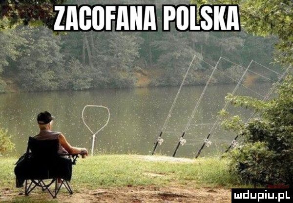 Obrazek