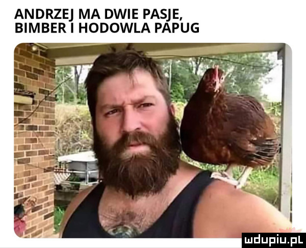 andrzej ma dwie pasje bimber i hodowla papug