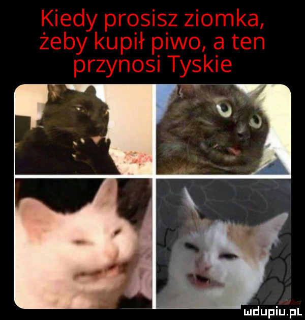 Obrazek